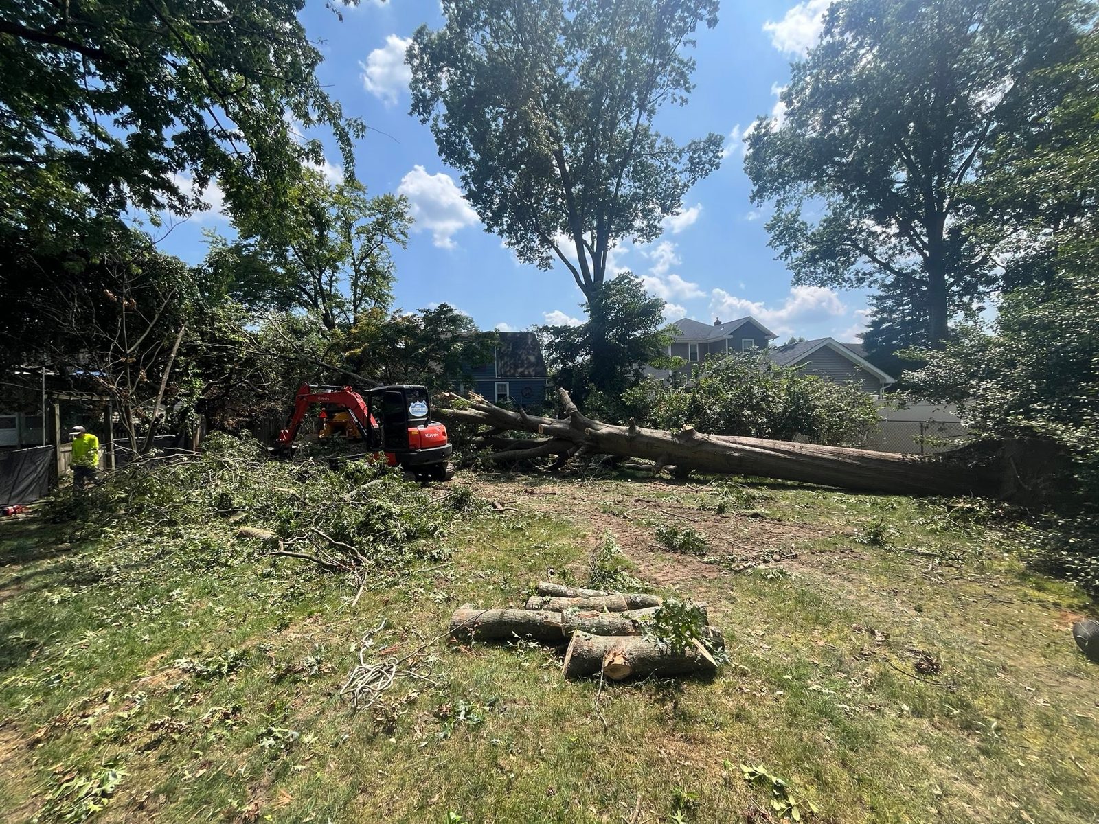 Land clearing by JWSR LLC in New Jersey